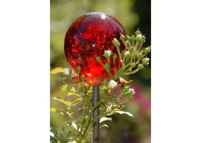 With 1 Bedroom * Walsrode